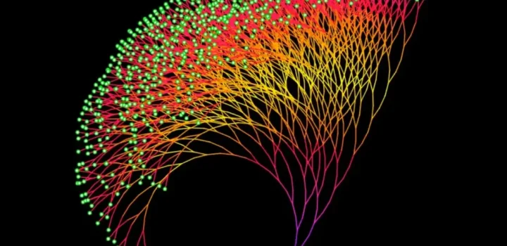 WEB Le meme mathematique qui distrait les mathematiciens depuis un 1024x683 1